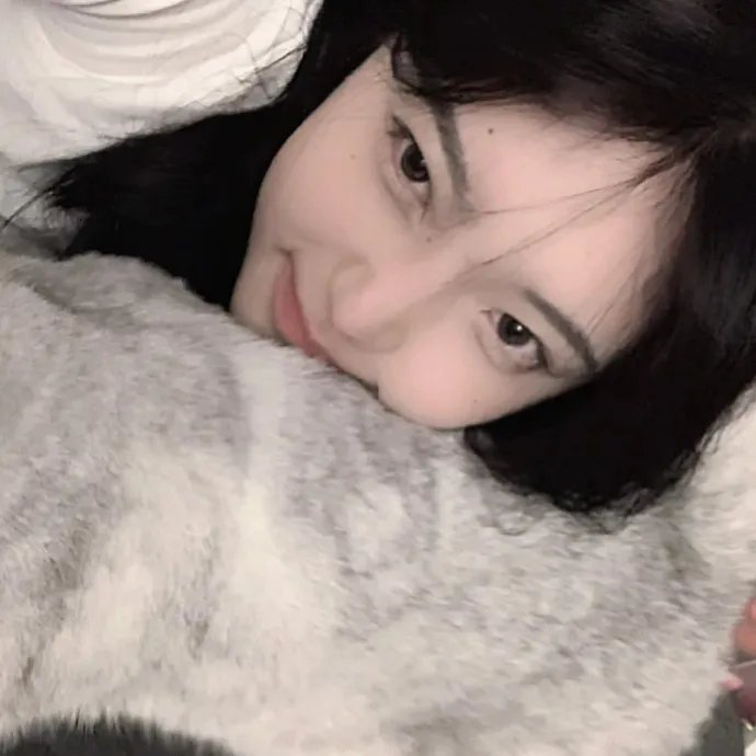 午夜雄鹰